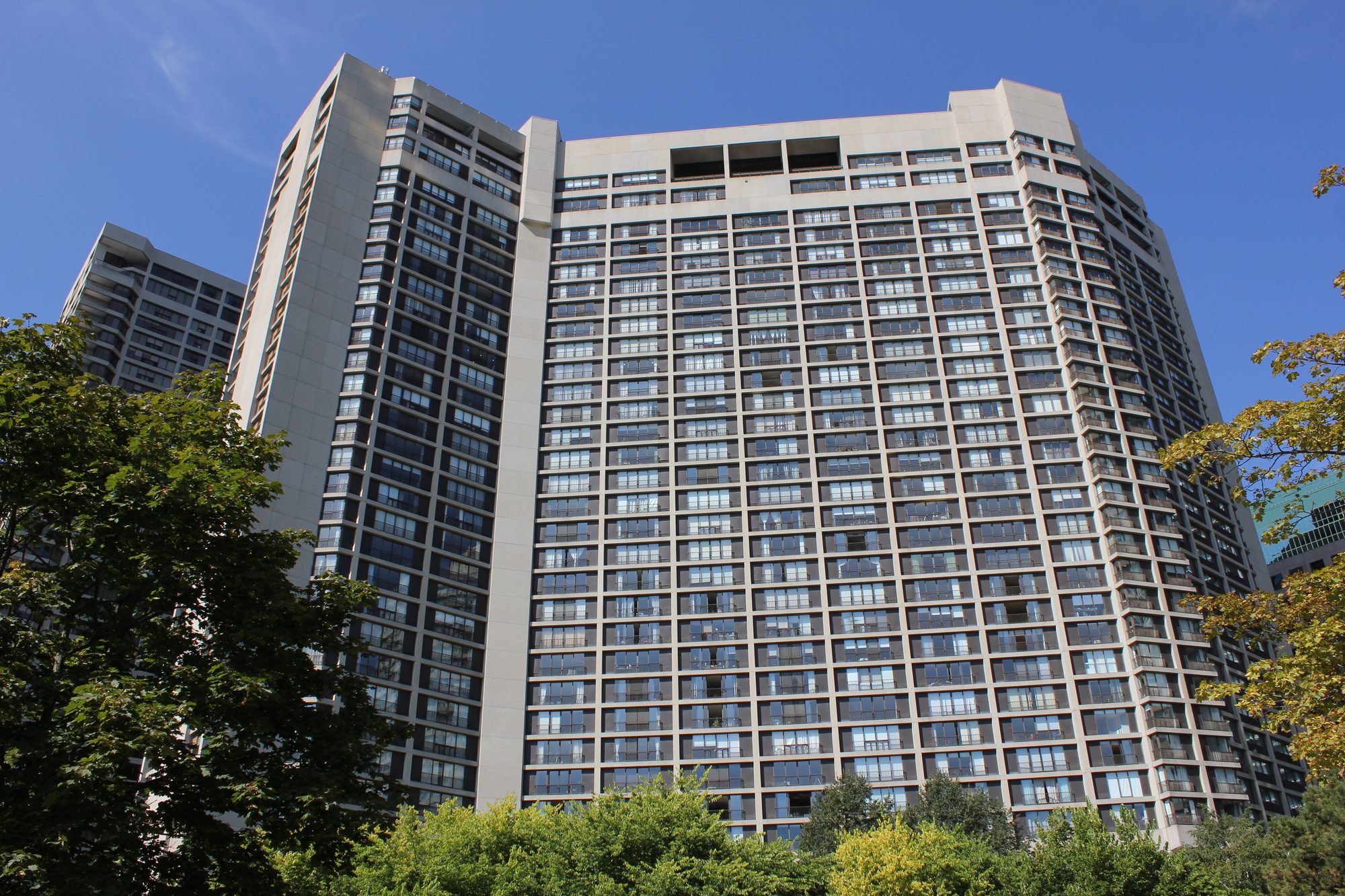 A residential tower rising above autumn trees against a blue sky